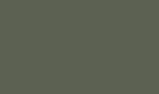 TVT Q565