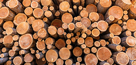Hoe behandel je douglas hout?