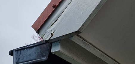 Hoe voorkom je houtrot bij een houten huis?