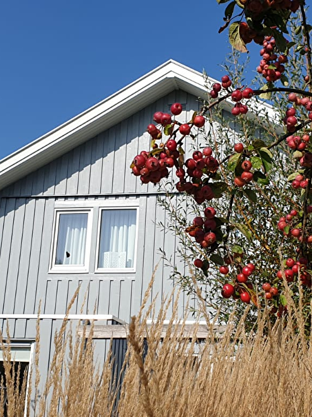 Zweeds Home woning