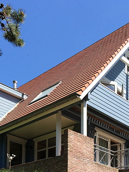Prachtig plaatje in Bergen aan Zee