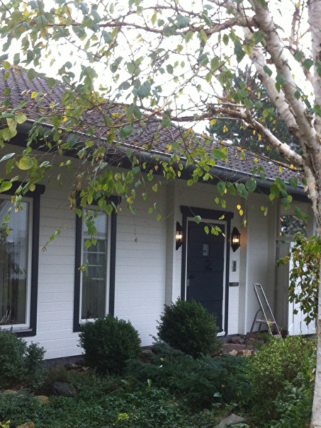 Groot houtsanerings- en schildersproject