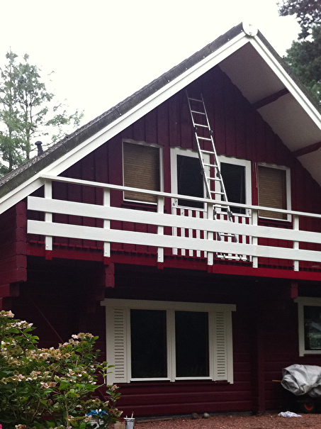 Origineel Fins loghouse in Zevenbergen