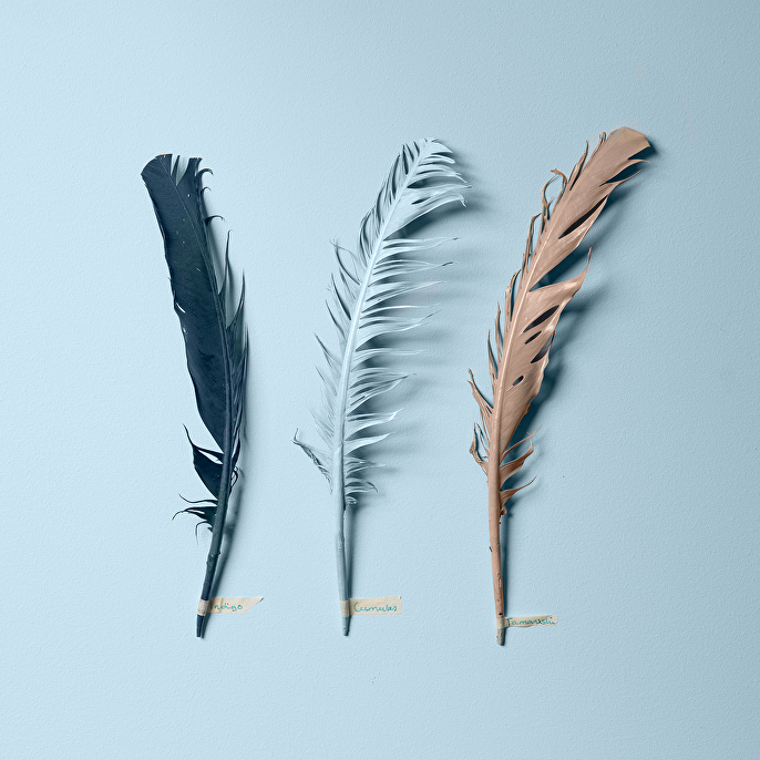 Onderliggend thema achter de Color Now 2021 is het scheppen van hoop.